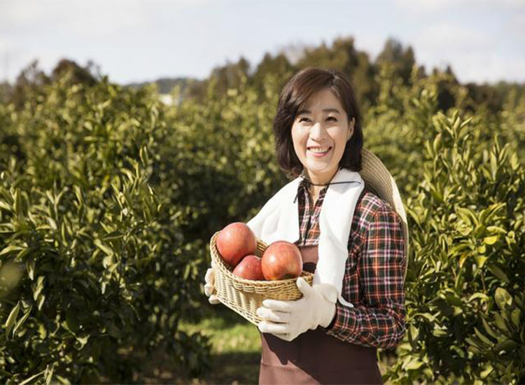 【潤康】磨煤機(jī)磨輥與您分享：互聯(lián)網(wǎng)巨頭紛紛賣菜，農(nóng)民會不會被“割韭菜”？